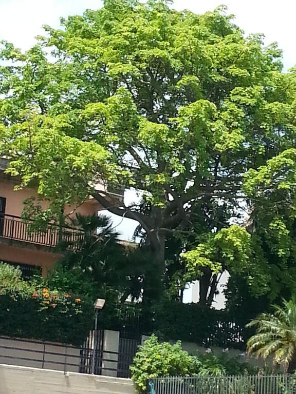 Bed and Breakfast Porto Ulisse Catania Exterior foto